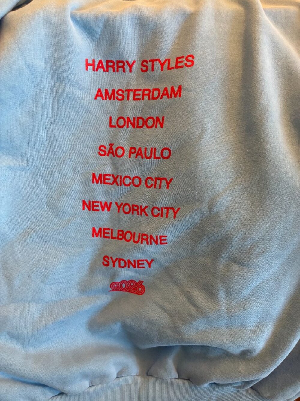 Harry Styles Together Together Tour Hoodie (L) in Light Blue with Red Text - Picture 3 of 3
